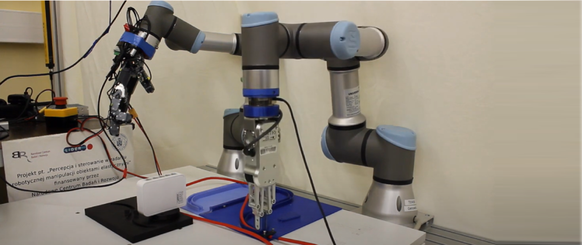 Percepcja i sterowanie w zadaniu robotycznej manipulacji obiektami elastycznymi