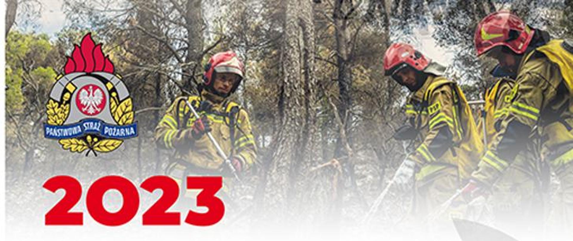 Strażacy w ubraniu specjalnym gaszący pożar, po lewej stronie logo PSP oraz napis 2023