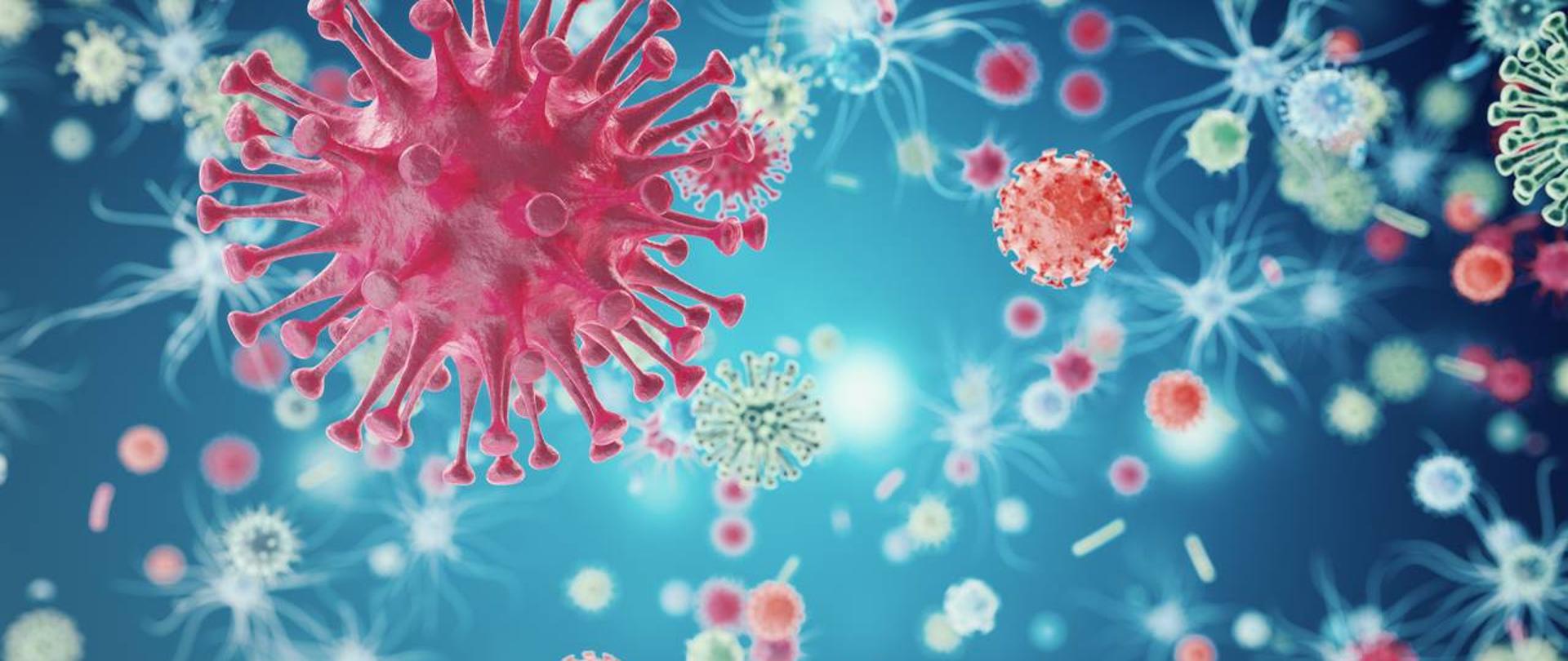 Na grafice znajdują się wirusy grypy.