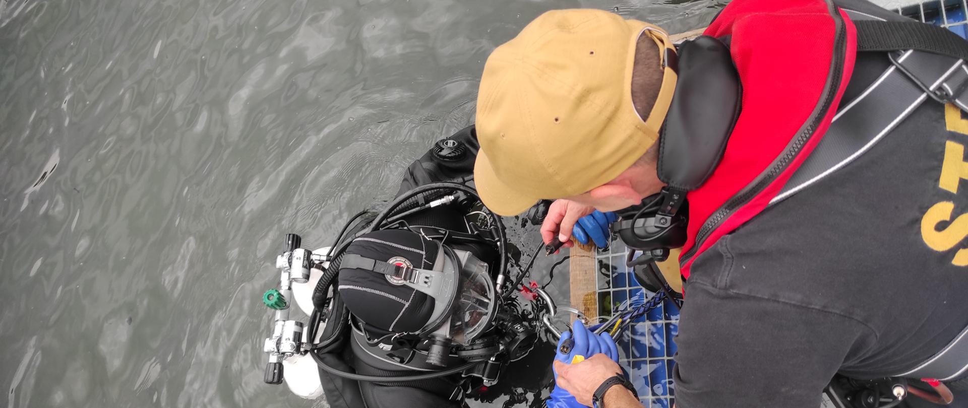 Ratownik zabezpiecza nurka wynurzającego się na powierzchnię w trakcie ćwiczeń Specjalistycznej Grupy Ratownictwa Wodno-Nurkowego na zbiorniku Rydwan.