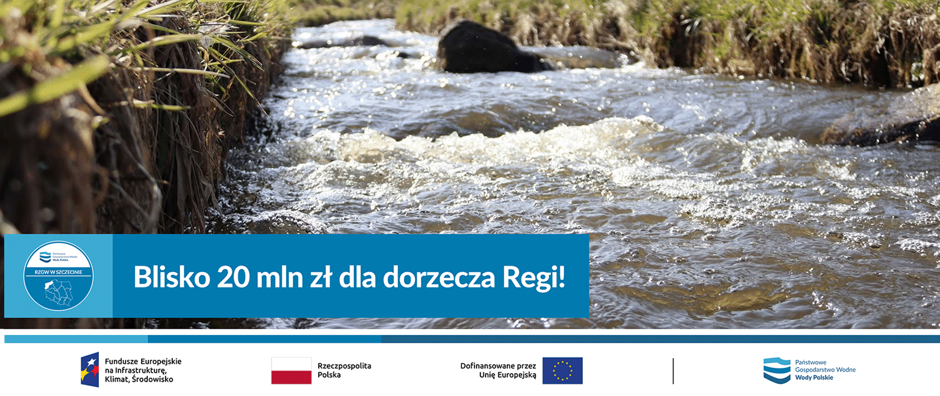 
Marek Rega gov