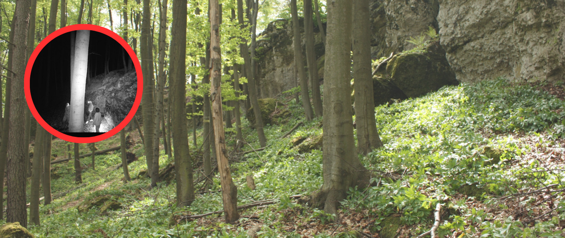 Apel o pomoc w ujęciu sprawców - kolaż zdjęć