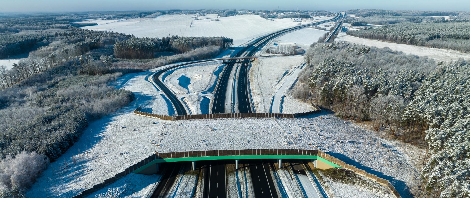 Widok z lotu ptaka na zimową autostradę w Polsce z odśnieżonymi pasami ruchu, nad którą znajduje się zielono-brązowy wiadukt ekologiczny (przejście dla zwierząt). Wokół rozciągają się zaśnieżone pola i lasy, a niebo jest bezchmurne.