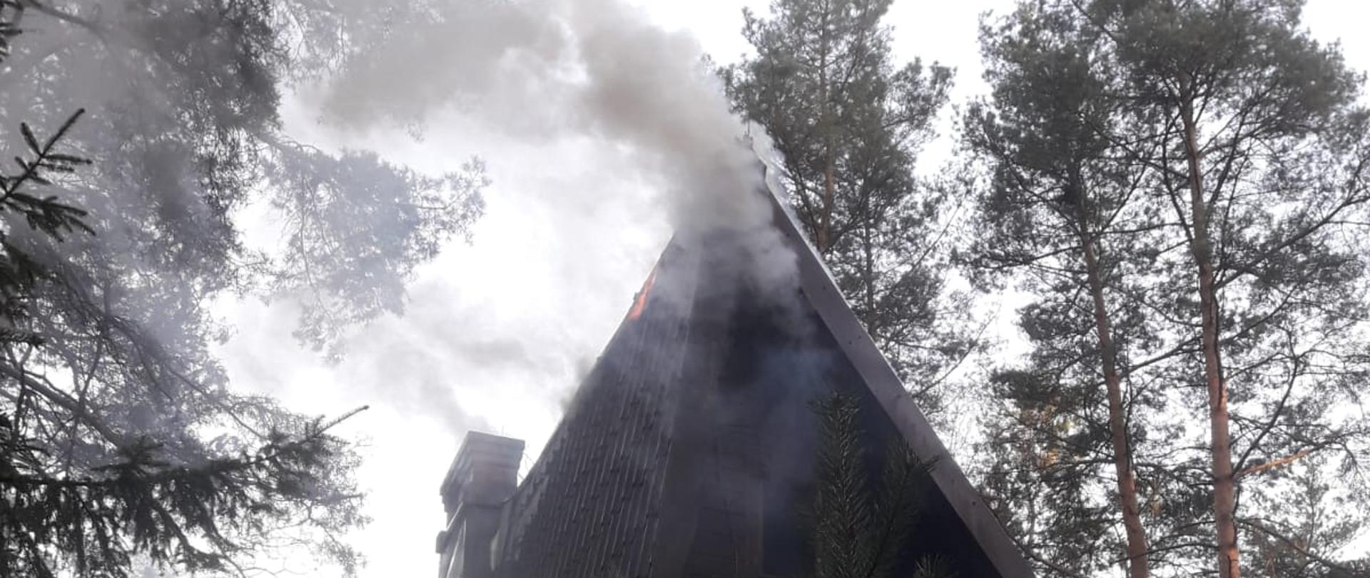 Pożar domku letniskowego w Nowym Karpnie