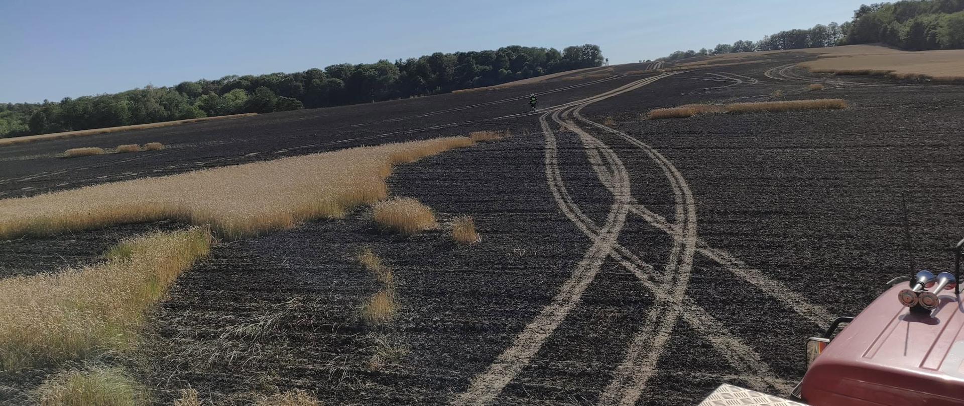 pogorzelisko po spalonym zbożu, w niektórych miejscach zboże na pniu