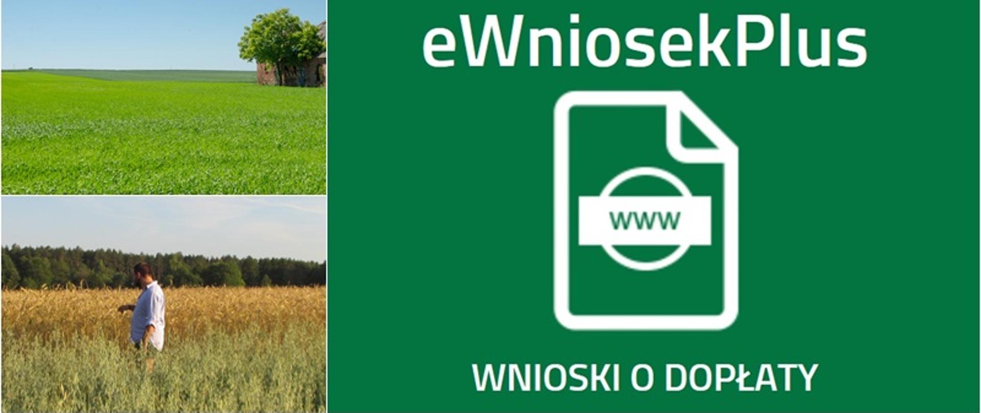 Fot. Kolaż - ewniosek