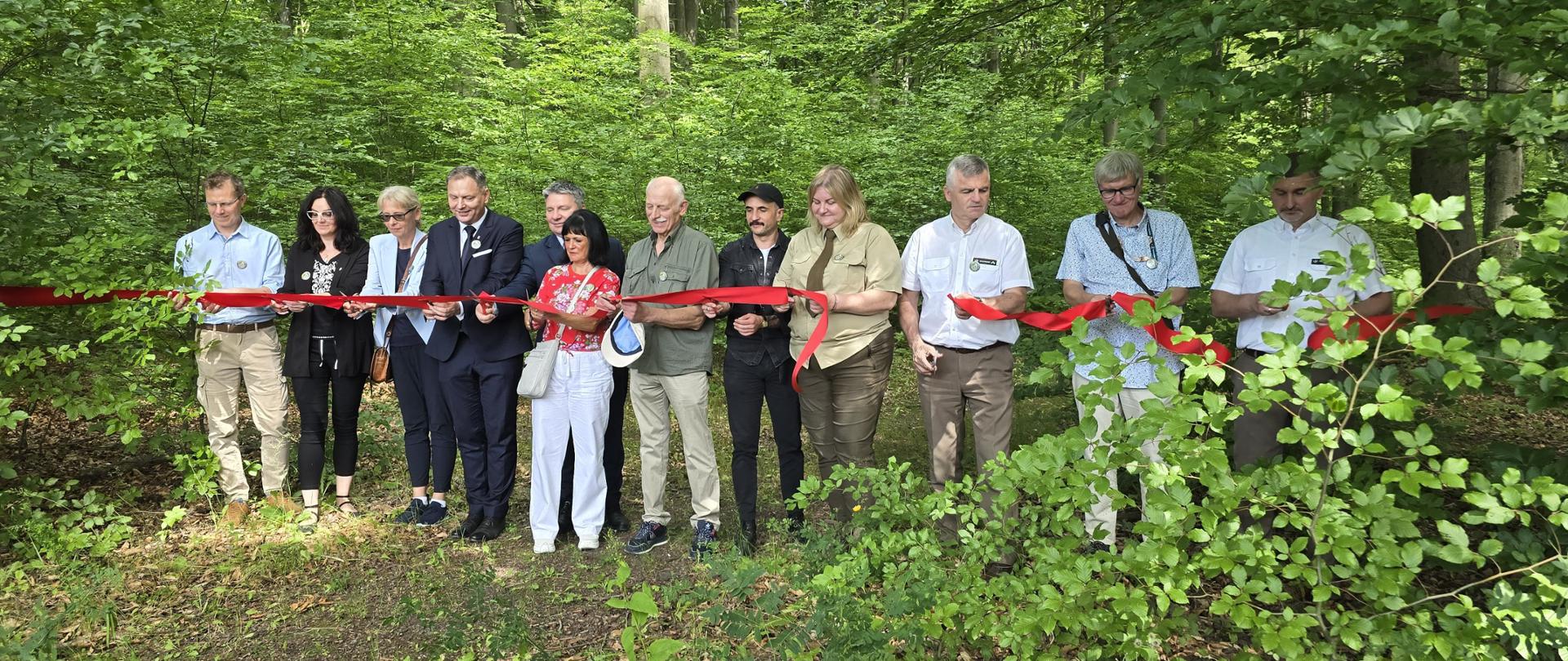 Zdjęcie przedstawia oficjalny moment uroczystego przecięcia wstęgi na skraju gęstego, zielonego lasu. Grupa kilkunastu osób, ubranych w stroje eleganckie, codzienne oraz mundury leśne, stoi w jednym rzędzie i wspólnie trzyma długą, czerwoną wstęgę rozciągniętą wzdłuż linii drzew. Kilku uczestników trzyma w dłoniach nożyczki, przygotowując się do jej przecięcia lub właśnie wykonując ten gest. Tło wydarzenia tworzy ściana bujnej, letniej roślinności z młodymi krzewami na pierwszym planie i wysokimi pniami drzew w głębi lasu, a naturalne światło słoneczne oświetla całą scenę.