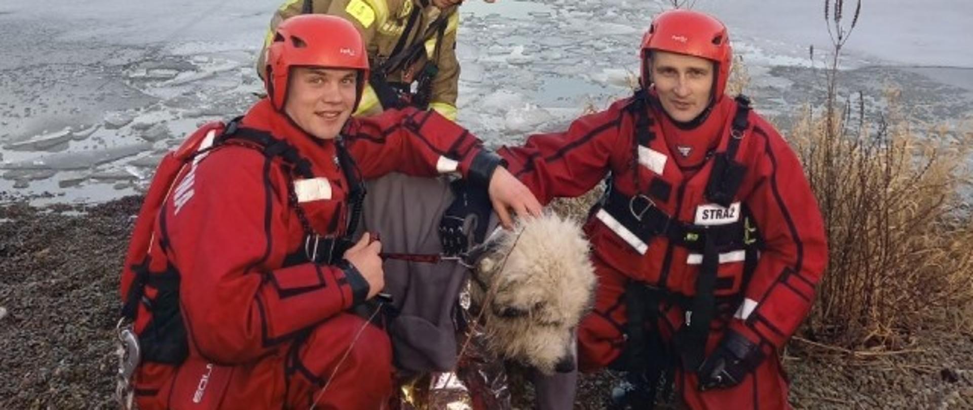 na zdjęciu widoczni trzej strażacy w umundurowaniu specjalnym, dwóch w ubraniach do pracy w wodzie oraz pies, który został ewakuowany z wody okryty kocem