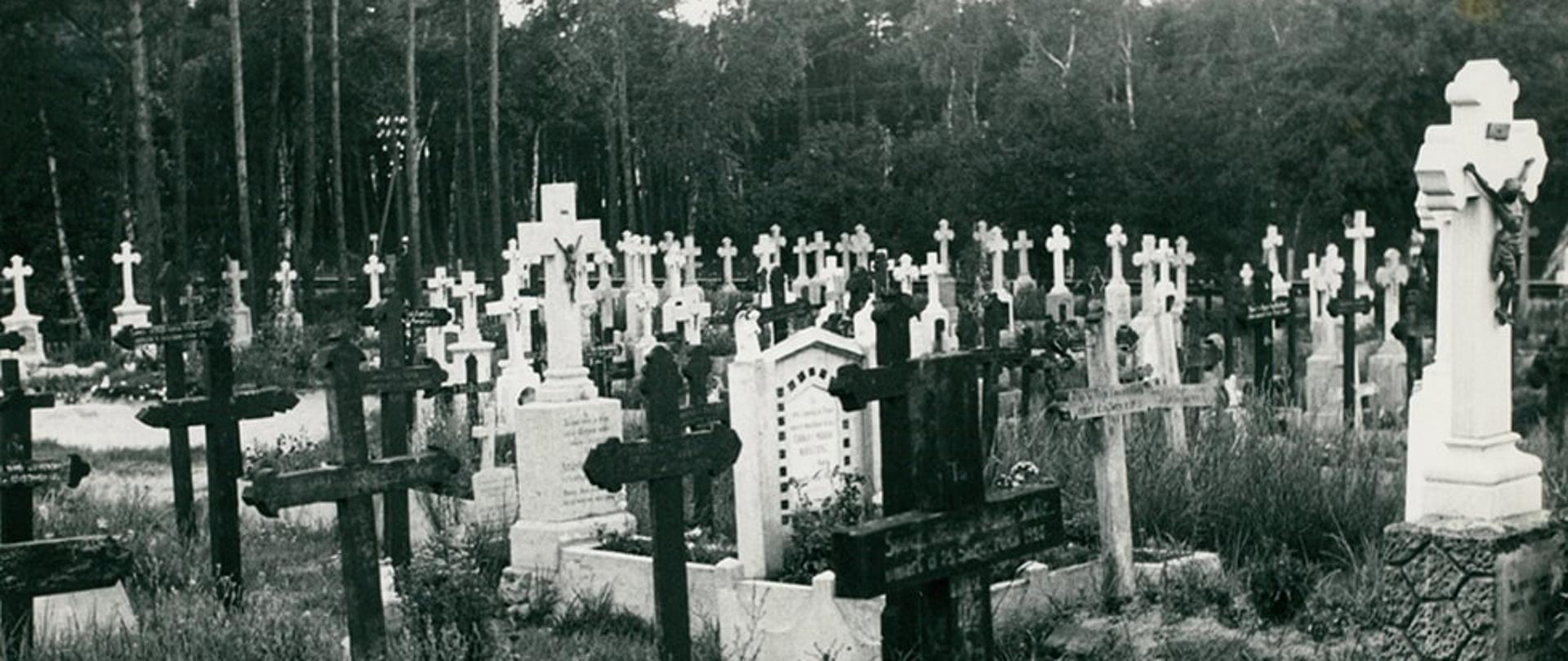 Cmentarz w Jastarnii