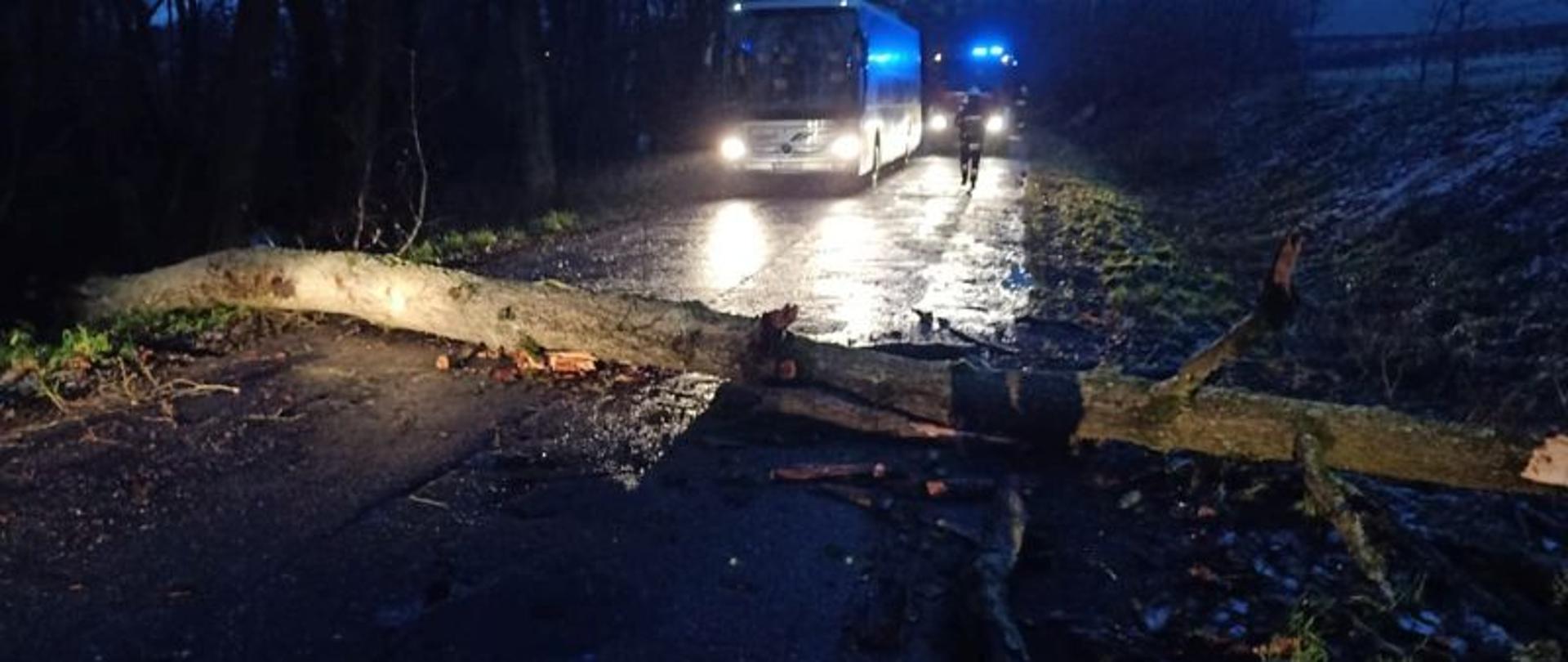 Zdjęcie wykonane w nocy. W centralnym punkcie zdjęcia powalone drzewo na drogę. Drzewo blokuje ruch. W tle, za drzewem stoją samochody, które nie mogą przejechać.