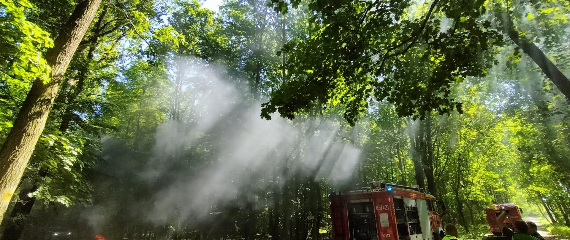 Na zdjęciu widać zadymienie w lesie. 