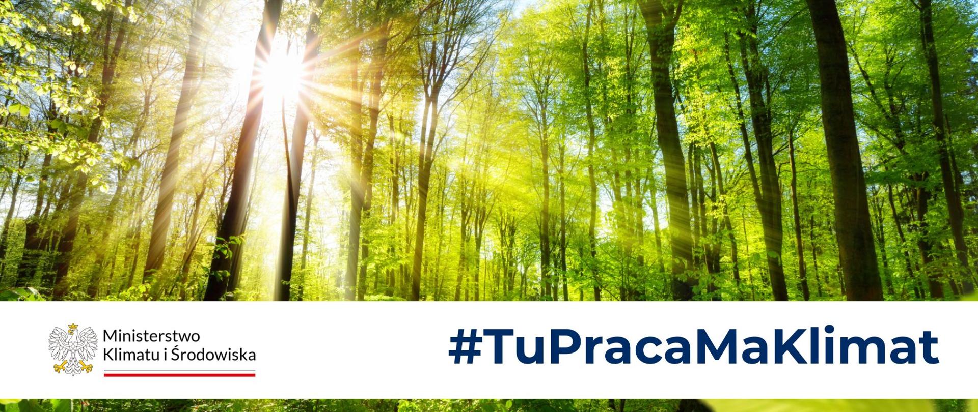 grafika prezentująca fragment lasu z hasłem: Ministerstwo Klimatu i Środowiska, Tu praca ma klimat