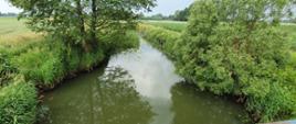 Widok na rzekę z mostu, po brzegach drzewa i trawy