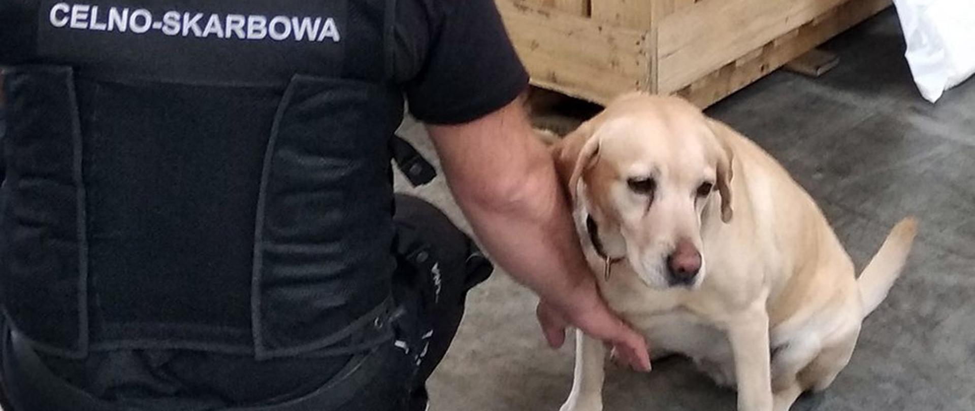 Funkcjonariusz KAS i pies, który wykrył psychoaktywne substancje.