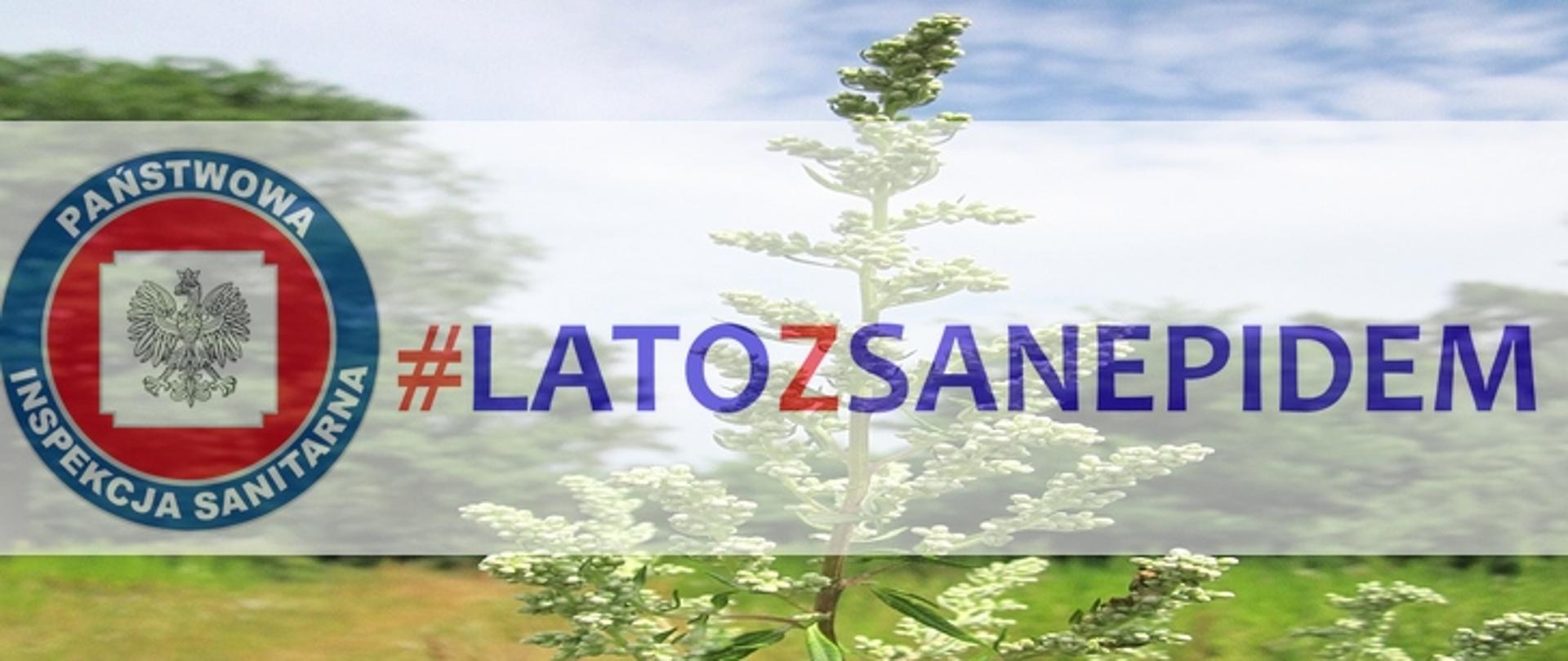 Lato z sanepidem