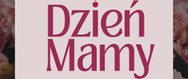 Plakat przedstawia informację na temat koncertu z okazji Dnia Mamy, który odbędzie się 26 maja 2026r. o godzinie 17:00 w sali koncertowej Państwowej Szkole Muzycznej I st. w Bełchatowie