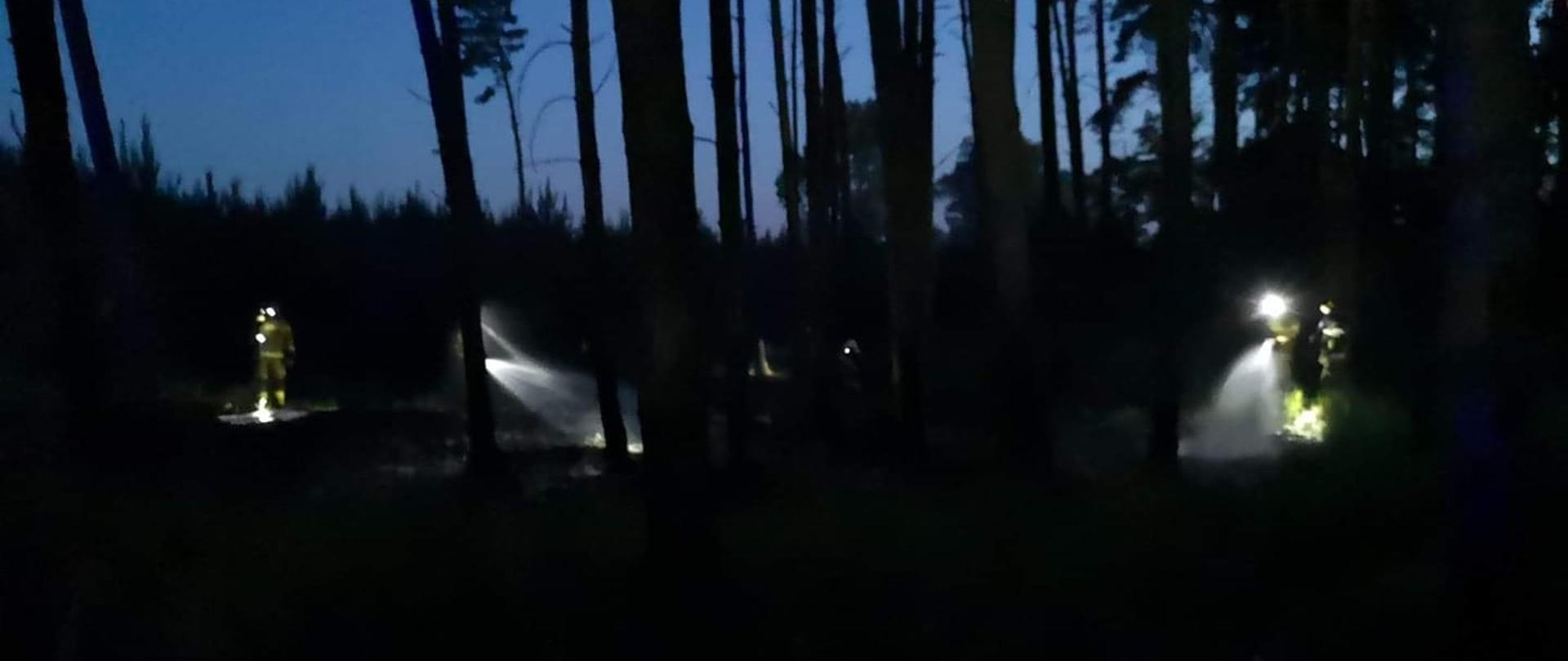 Działania gaśnicze w porze nocnej. Strażacy dogaszają pogorzelisko oświetlając teren latarkami na hełmach. 