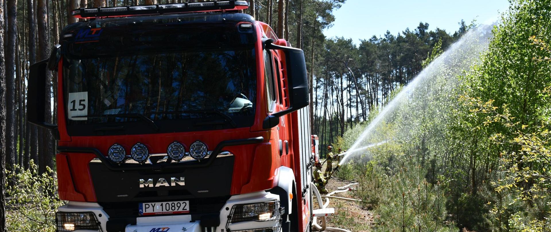 gaszenie pożaru lasu przez strażaków, widoczny samochód w lesie