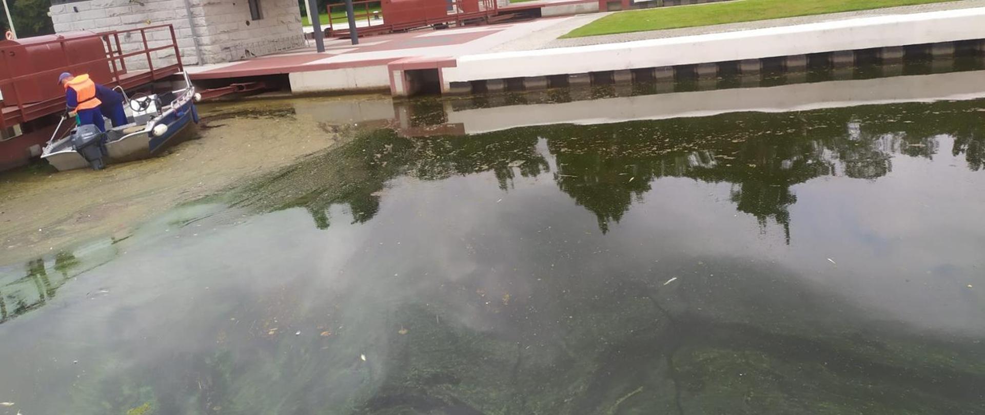 Kanał Gliwicki, Woda