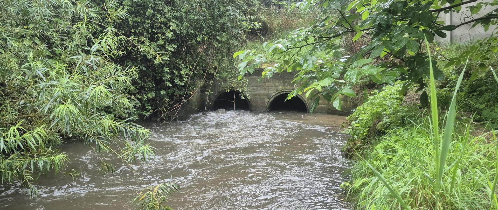 
Górki Ustowskie czwartek 14