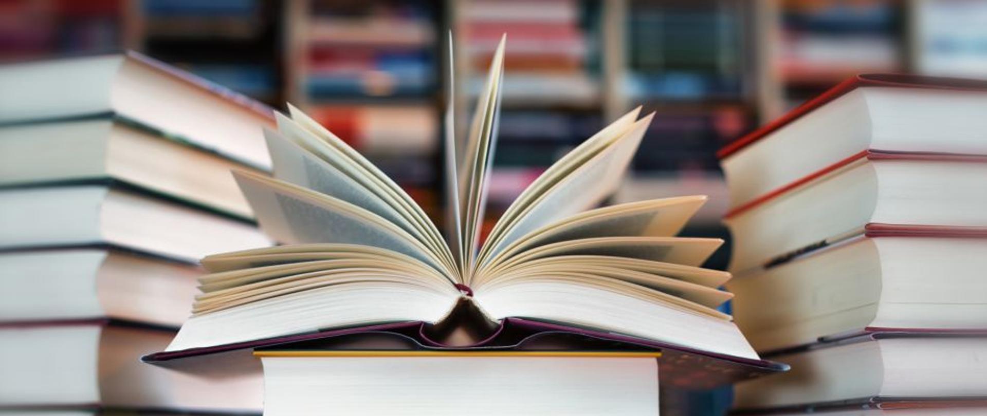 Książka Narodowy Program Rozwoju Czytelnictwa