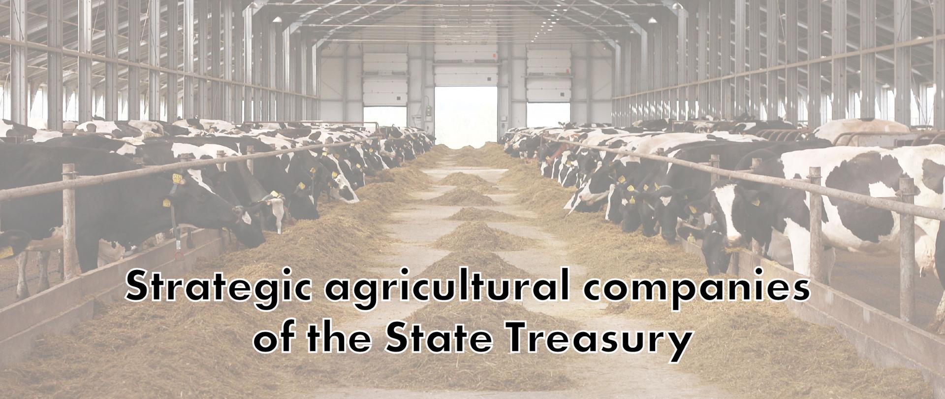 Strategic agricultural companies of the State Treasury