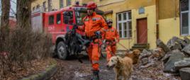 Dwóch strażaków z psami ratowniczymi, na tle samochodu pożarniczego, udaje się na miejsce akcji.