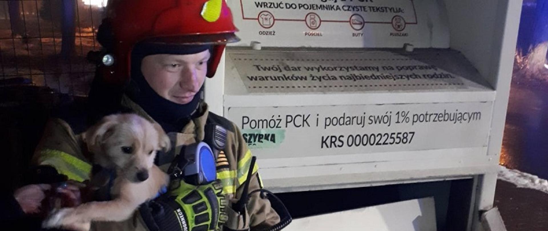 Nietypowa interwencja rybnickich strażaków 