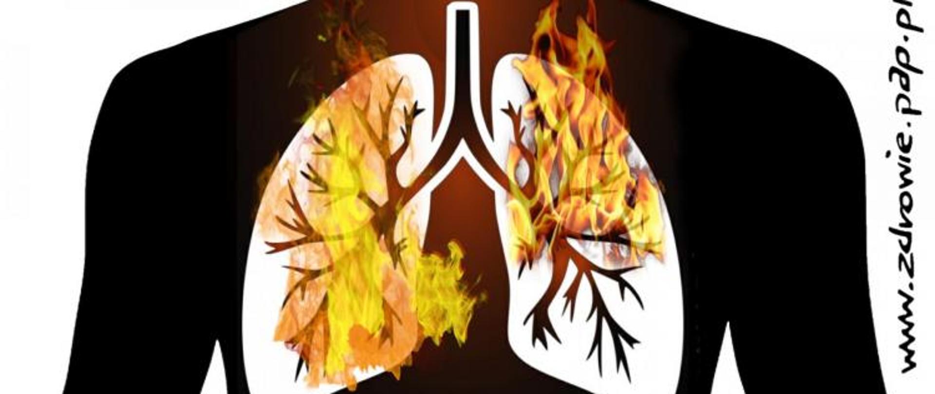 Zanieczyszczenie powietrza bardziej szkodliwe niż wcześniej sądzono?