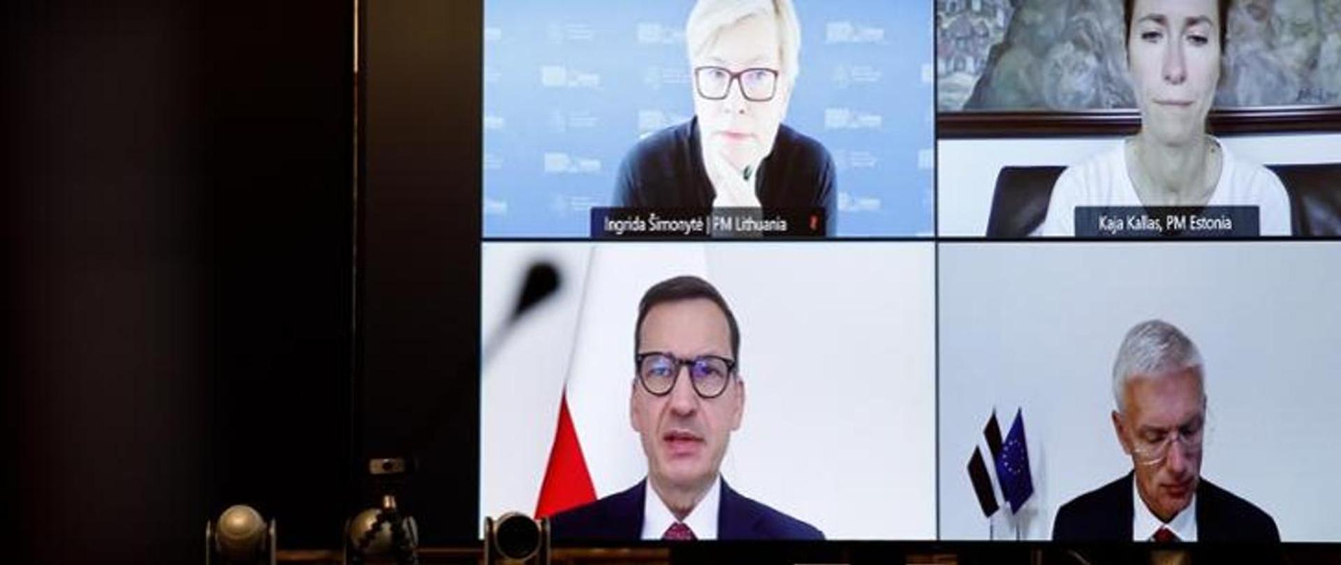 Politicians speaking at the Videoconference
