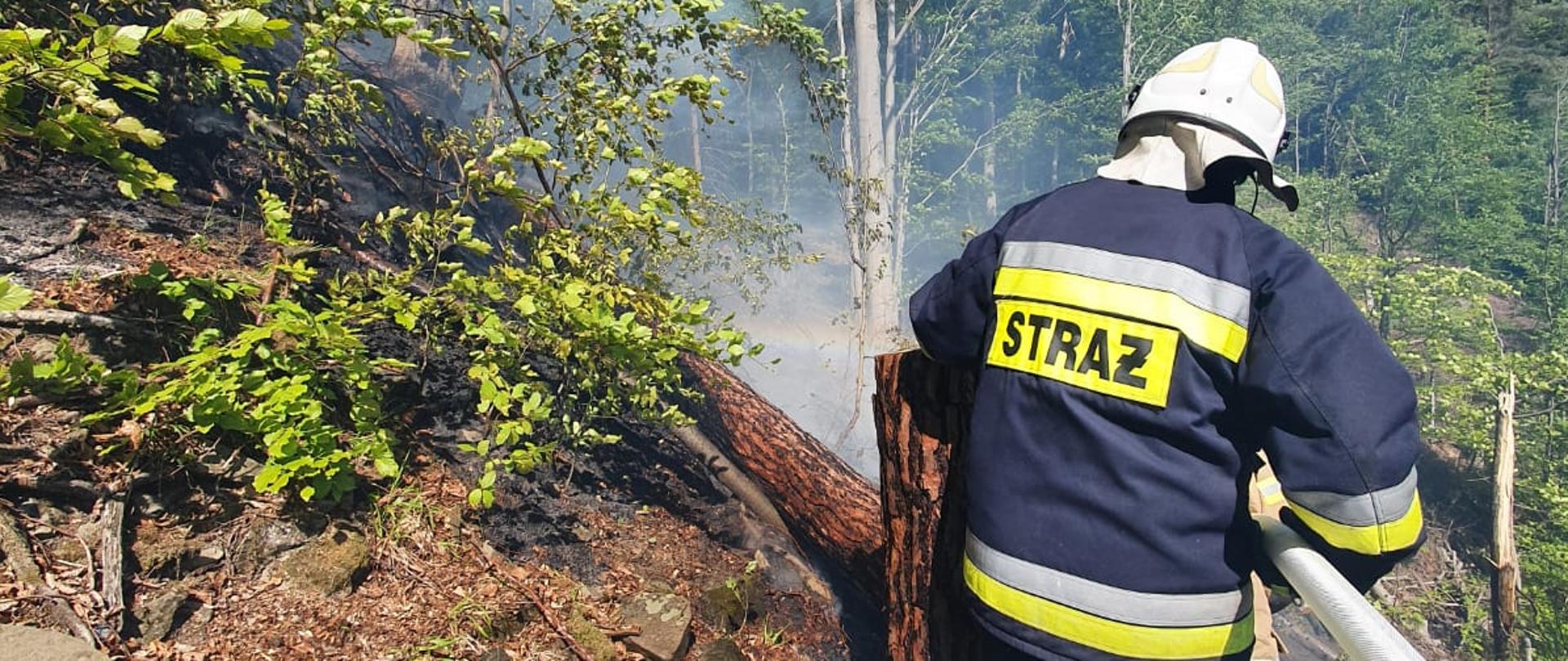 Strażak na zboczu gasi pożar.