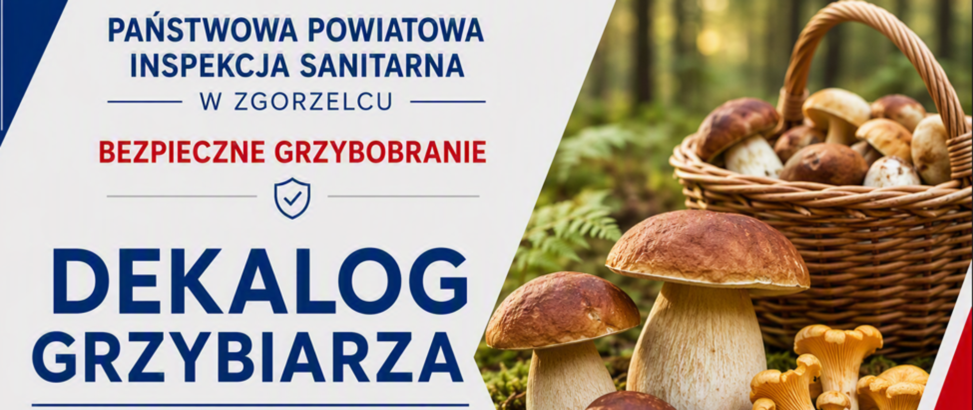 dekalog grzybiarza