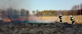 Na zdjęciu strażacy gaszący pożar traw