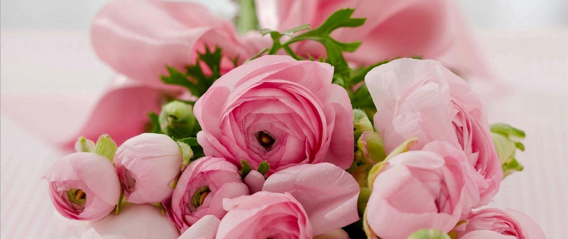 bukiet różowych kwiatów