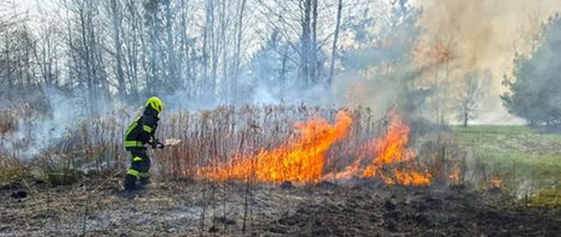 Pożar nieużytków Okuniew