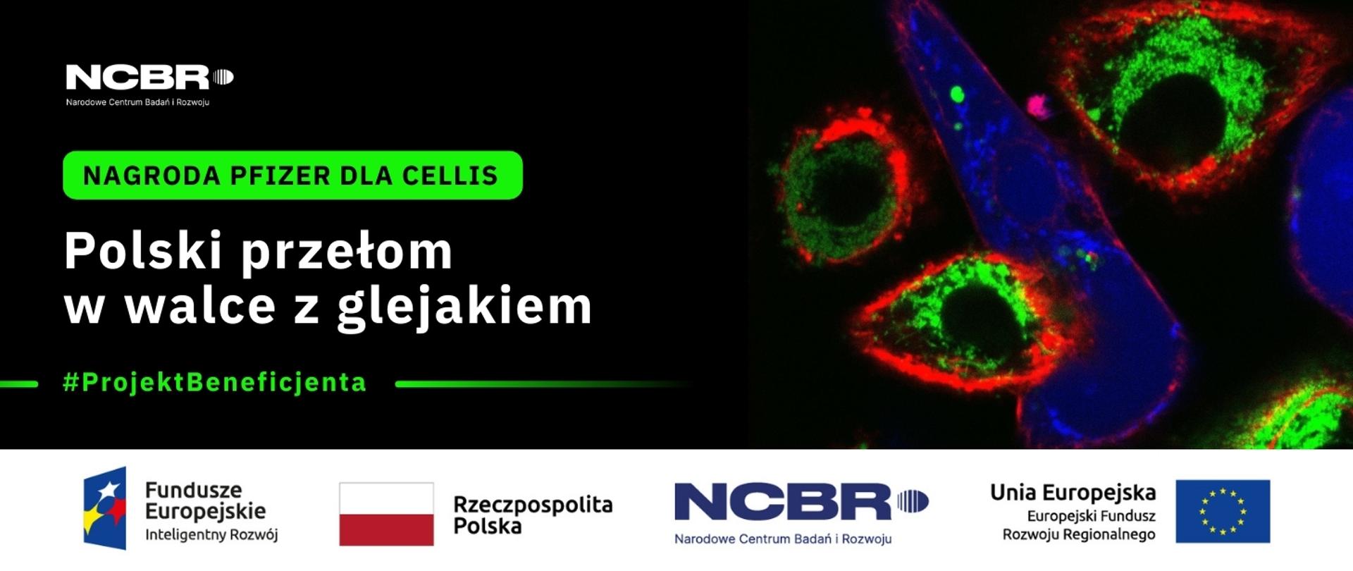 Beneficjent NCBR z prestiżową nagrodą za badania w onkologii