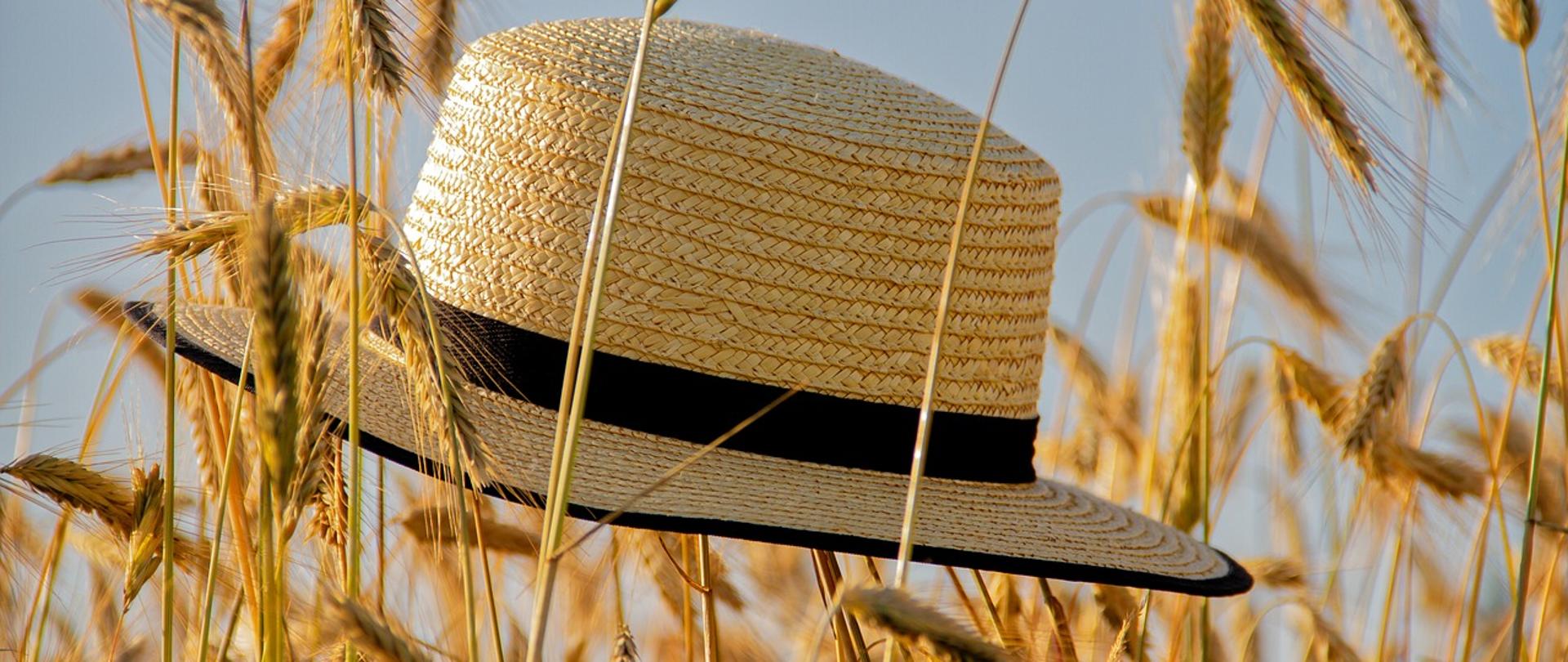 zdjęcie dojrzałych kłosów zboża w kolorze złomowym, na kłosach zawieszony kapelusz słomkowy z czarną obwódką, w tle niebieskie niebo