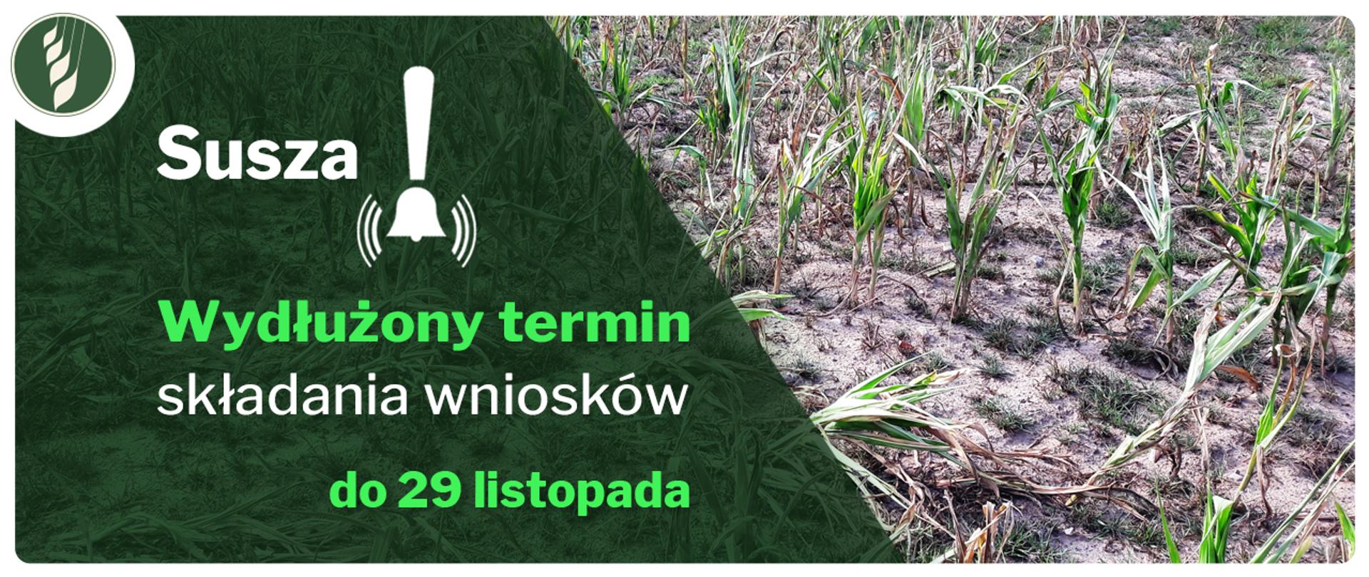 Wydłużony termin składania wniosków
