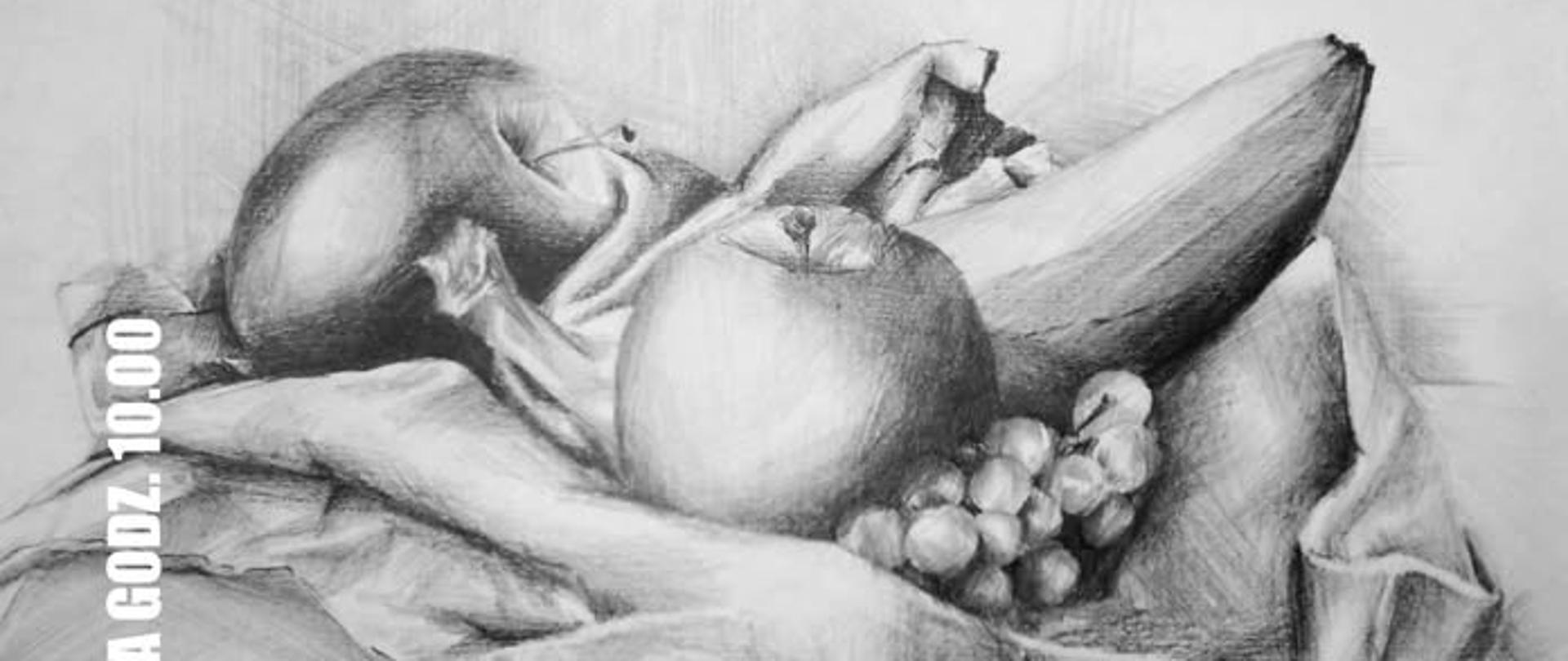 Martwa natura - owoce, rysunek ołówkiem