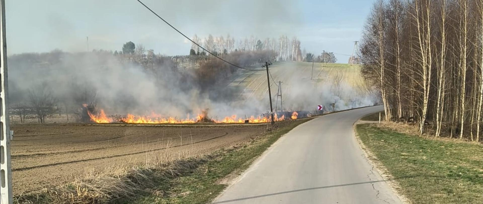Na zdjęciu widać wiejską drogę biegnącą wśród pól. Po lewej stronie pola płoną – widoczny jest długi pas ognia i gęsty dym unoszący się nad ziemią. Po prawej stronie rosną drzewa, a droga zakręca w prawo. W tle widać pagórkowaty krajobraz i słupy energetyczne biegnące wzdłuż drogi