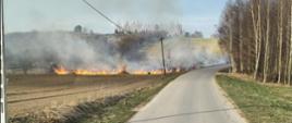 Na zdjęciu widać wiejską drogę biegnącą wśród pól. Po lewej stronie pola płoną – widoczny jest długi pas ognia i gęsty dym unoszący się nad ziemią. Po prawej stronie rosną drzewa, a droga zakręca w prawo. W tle widać pagórkowaty krajobraz i słupy energetyczne biegnące wzdłuż drogi