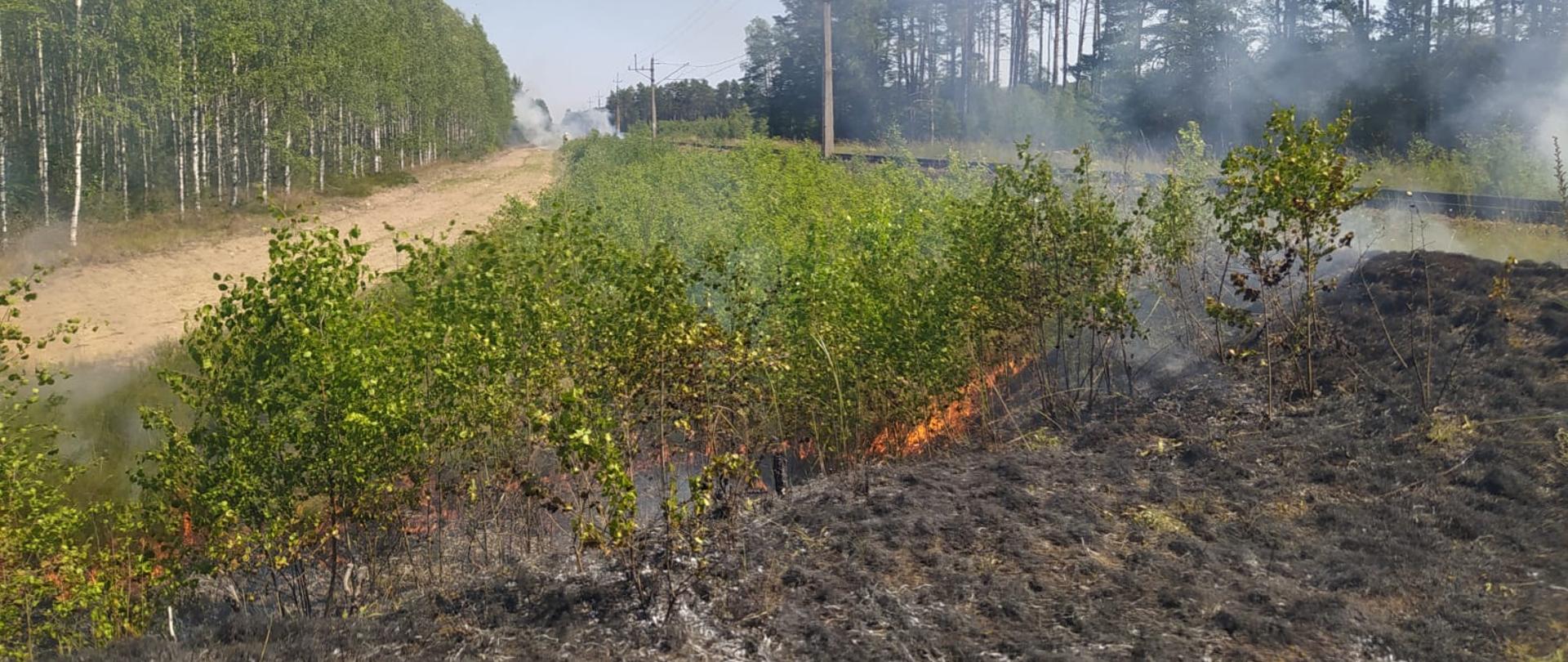 Spalona ziemia widoczne płomienie ,które spalają zielona roślinność
