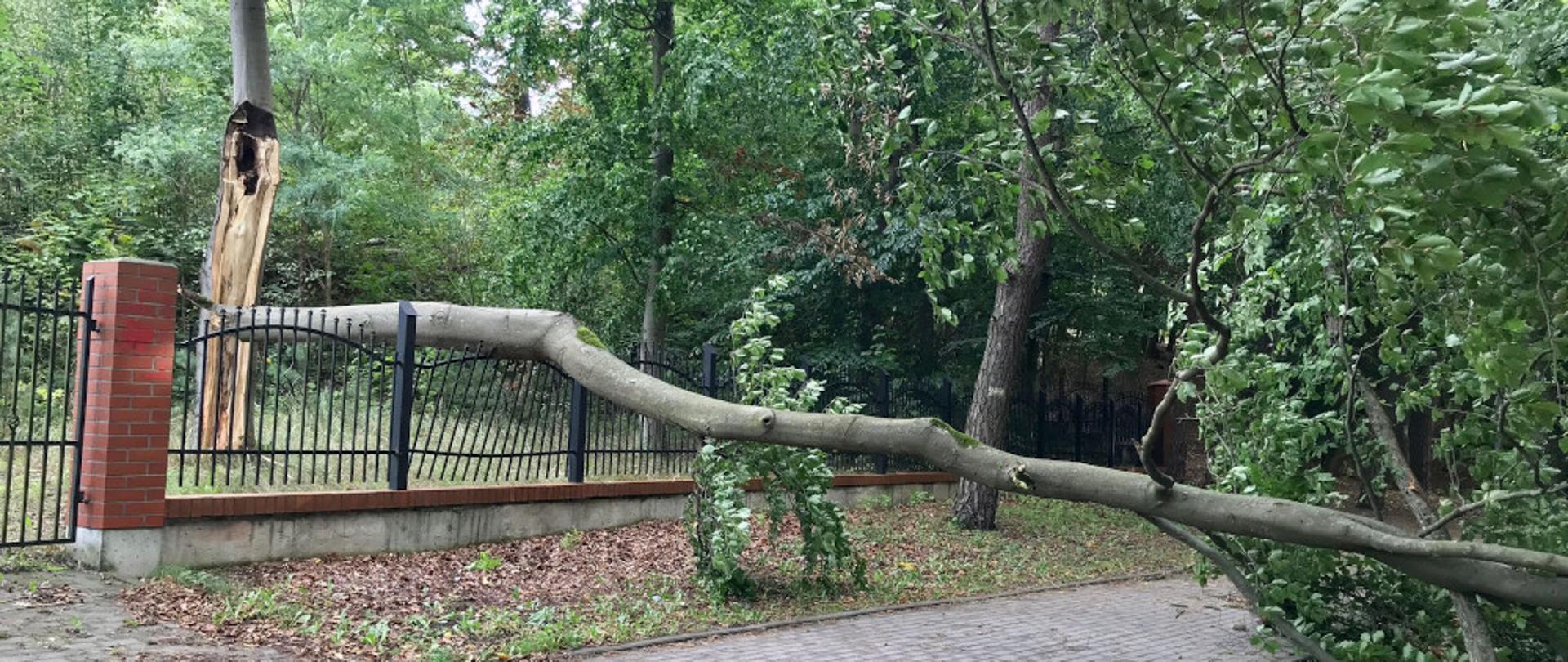 Niespokojna noc w powiecie szczecineckim