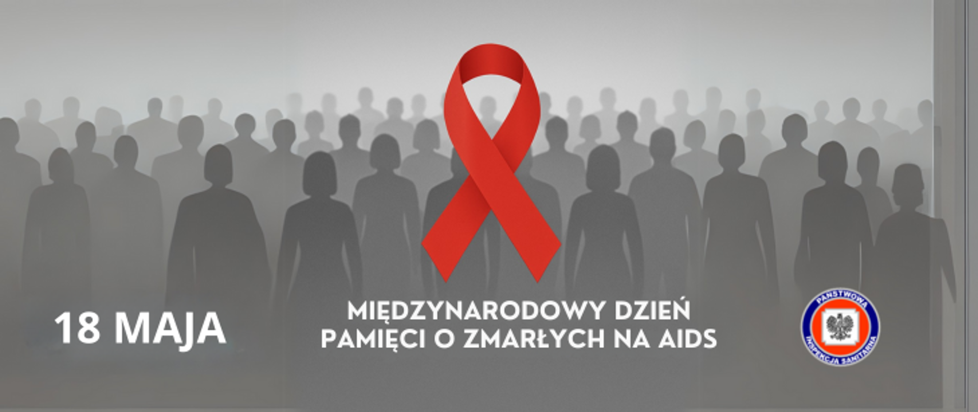 Grafika przedstawia kilkadziesiąt sylwetek ludzi - mężczyzn i kobiet w kolorze szarym. Z przodu postacie są największe a z tyłu coraz mniejsze tak, że wygląda to jak tłum ludzi. Na środku umieszczono czerwoną wstążkę, któa jest symbolem HI/AIDS a pod nią napis Międzynarodowy Dzień Pamięci o Zmarłych na AIDS, po lewej stronie od napisu zamieszczono datę 18 maja a po prawej stronie zdjęcia znajduje się okrągłe logo Państwowej Inspekcji Sanitarnej przedstawiające czarnego orła na białym kwadratowym tle, które otoczone jest czerwonym wypełnieniem. Zewnętrzną część logo otacza granatowy okrąg z napisem Państwowa Inspekcja Sanitarna w kolorze białym.