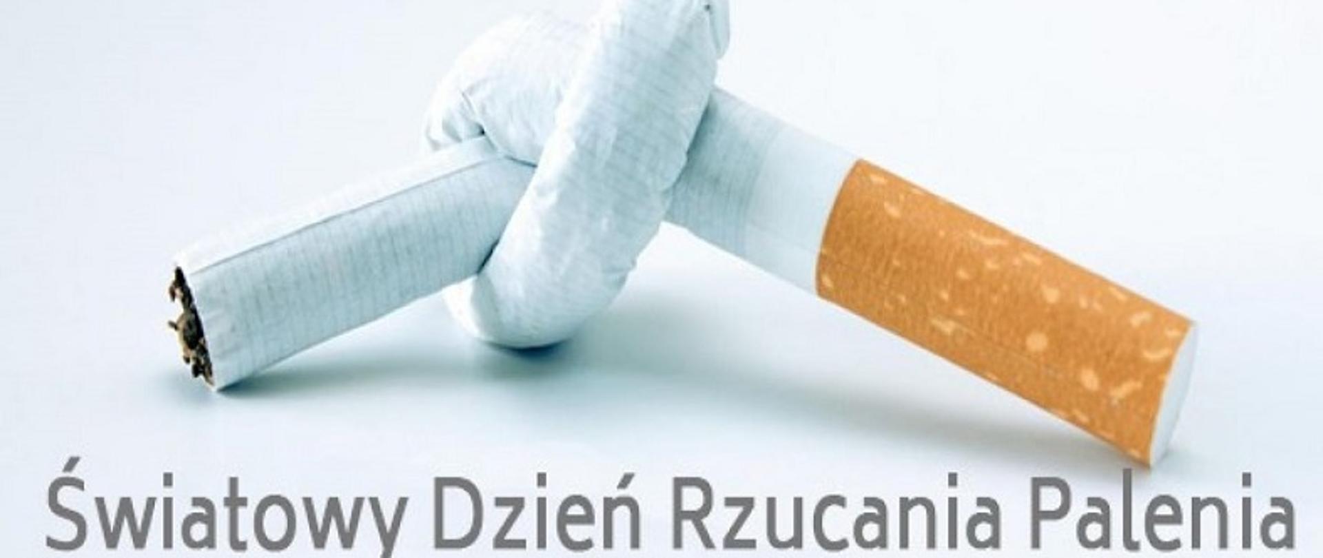 Dzień