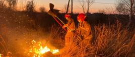 Na zdjęciu widzimy dwóch strażaków ubranych w piaskowy mundur bojowy, walczących z pożarem trawy przy użyciu tłumic.