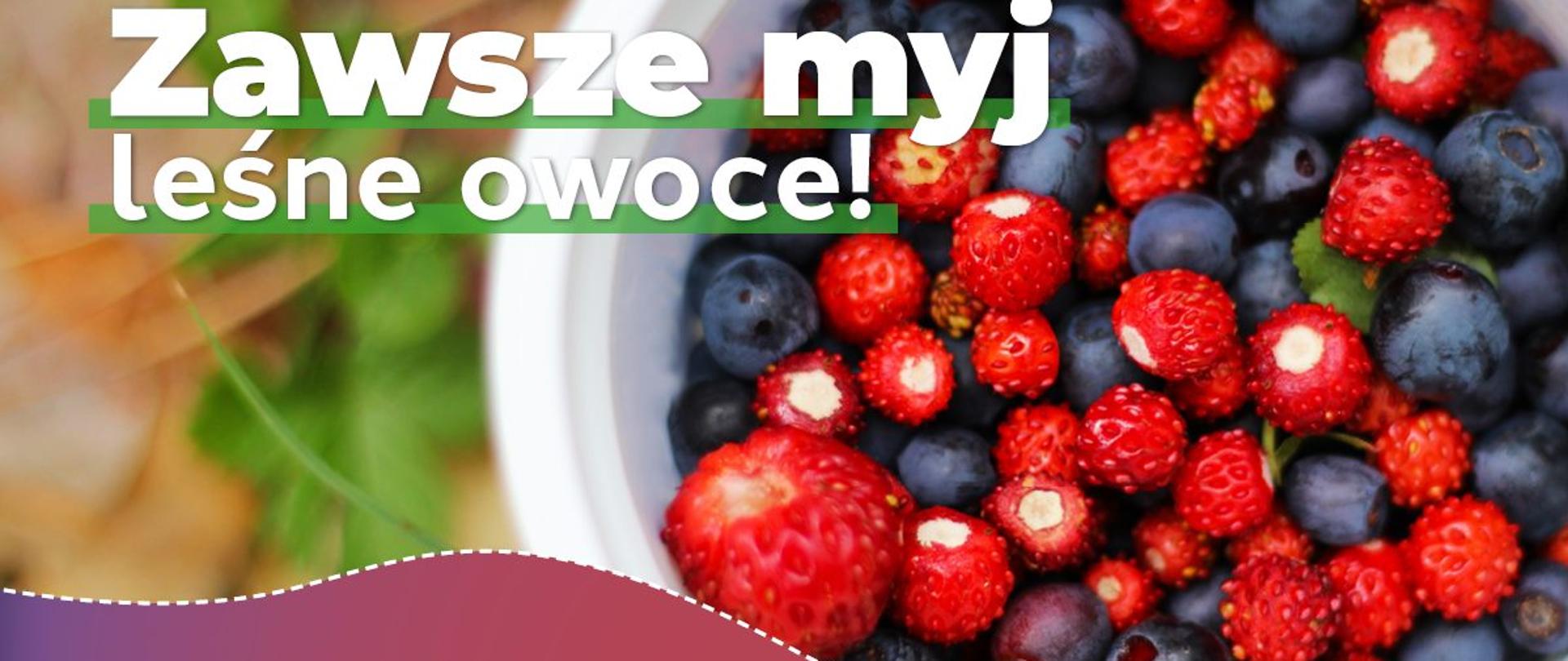 zawsze_myj_owoce_lesne_(3)