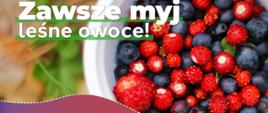 zawsze_myj_owoce_lesne_(3)kadr_panorama