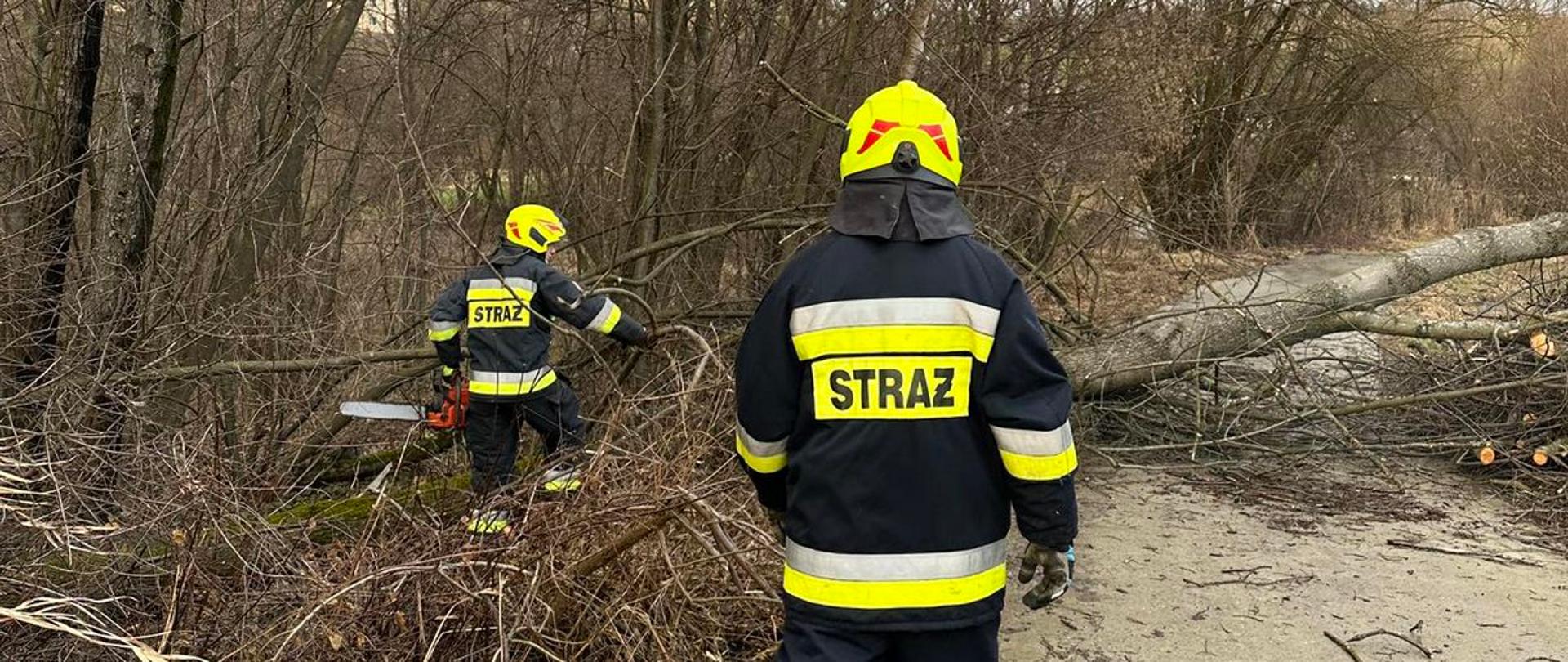 Strażacy usuwają powalone drzewo