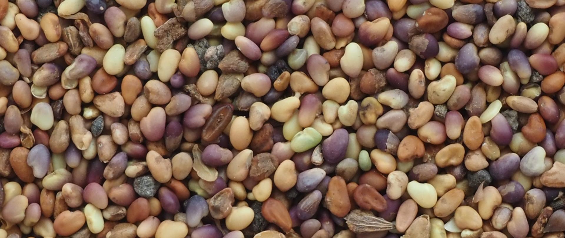 Małe, kolorowe obiekty.